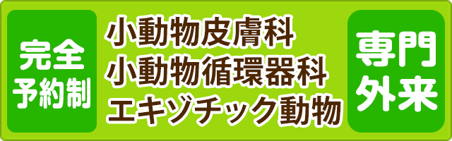 完全予約制　エキゾチック動物診療