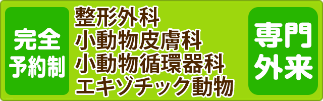 完全予約制　エキゾチック動物診療